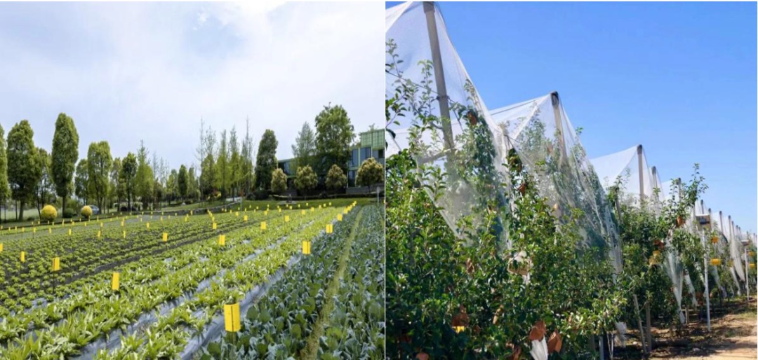 1712055252948613.png 1712055252948613.png