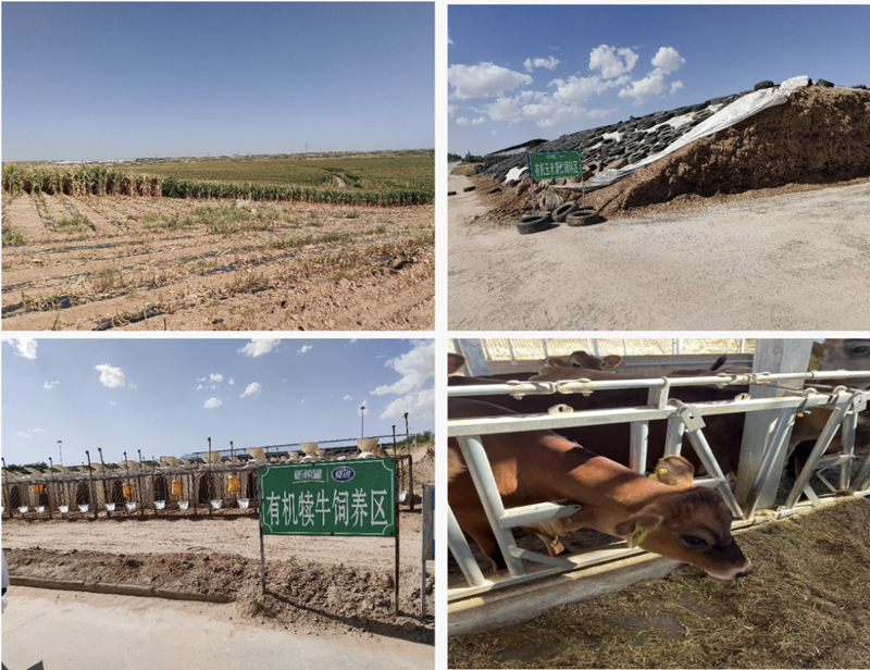 1718784202627016.png 2-3.png